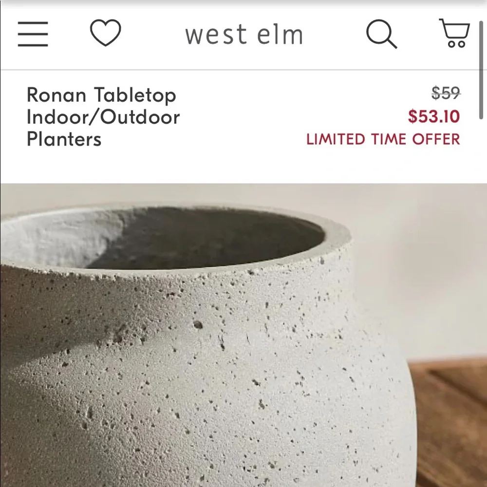 West Elm Ficonstone Planter